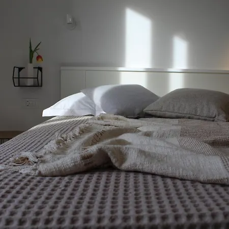 The Site 스플리트