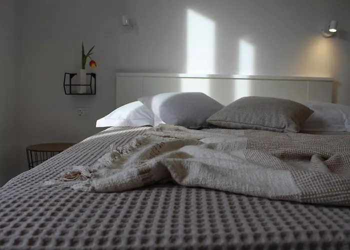 The Site 스플리트