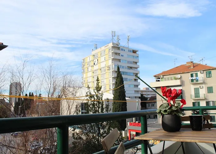 The Site 스플리트