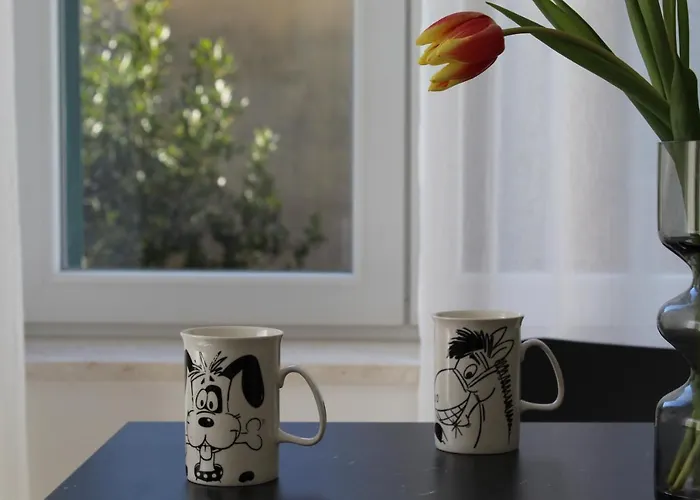 The Site * 스플리트